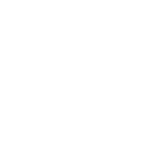 Dynamic Planning Icon